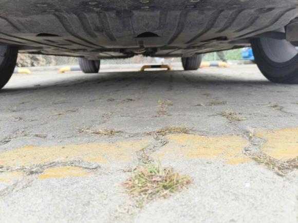 [青岛·鲁B] 二手领克领克022021款 1.5TD DCT两驱耀 冠军版