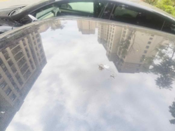 [上海·沪A] 二手欧拉欧拉黑猫2021款 351km 豪华型