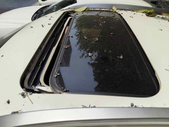 [西安·陕U] 二手奔腾奔腾X402018款 网红版 1.6L 自动互联智酷型