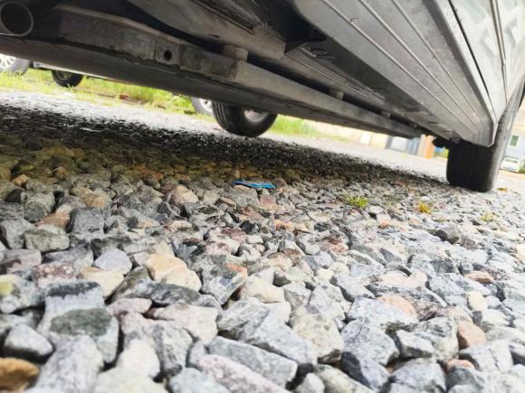 [温州·浙C] 二手比亚迪比亚迪e22023款 豪华型