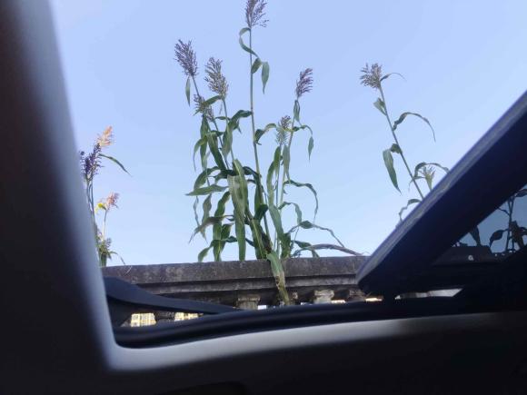 [上海·皖N] 二手奔腾奔腾B702021款 1.5T 自动驭享型