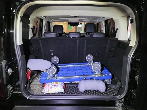 [苏州·闽B] 二手坦克坦克3002021款 越野版 2.0T 挑战者