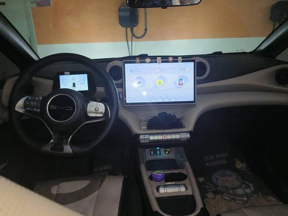 [合肥·皖A] 二手比亚迪海豚2023款 420km 时尚版