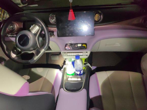 [上海·沪A] 二手比亚迪海豚2021款 401km 骑士版