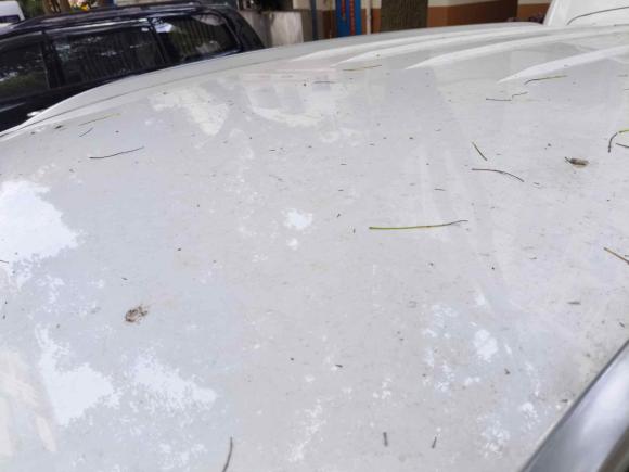 [苏州·苏E] 二手比亚迪宋2019款 1.5TI 自动智联越动型