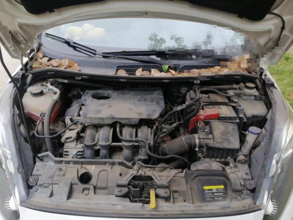 [上海·闽D] 二手福特嘉年华2013款 两厢 1.5L 自动时尚型