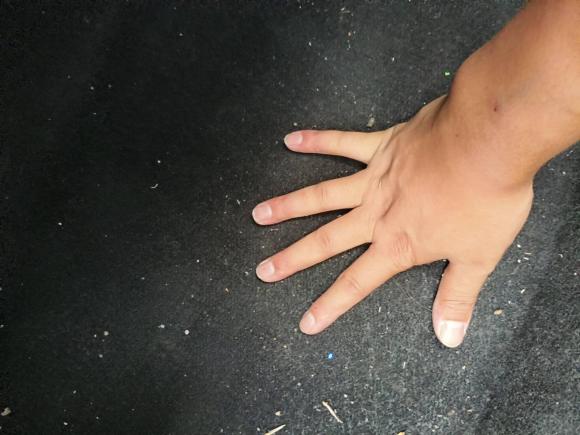 [嘉兴·浙F] 二手五菱汽车宏光MINIEV2024款 第三代 170km