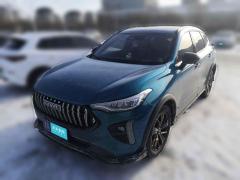 [天津·津A] 哈弗哈弗赤兔2021款激擎版1.5T黄金兔