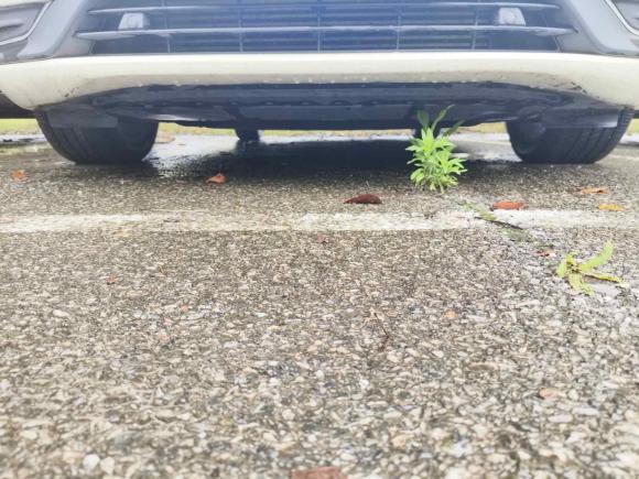 [上海·鲁V] 二手沃尔沃沃尔沃V602015款 T5 智逸版