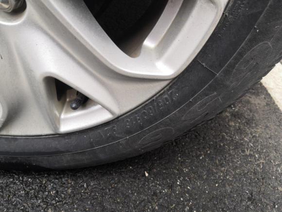 [芜湖·皖B] 二手福特翼搏2013款 1.5L 自动风尚型