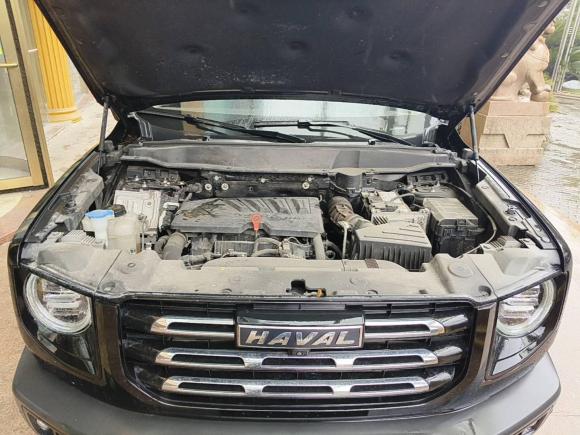 [上海·浙F] 二手哈弗哈弗大狗2021款 1.5T DCT两驱边牧版