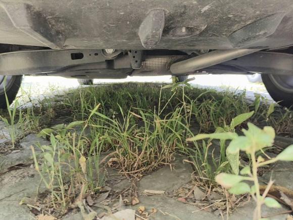 [上海·沪C] 二手丰田亚洲狮2021款 2.0L 豪华版