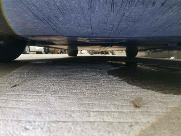 [深圳·粤B] 二手特斯拉Model 32021款 标准续航后驱升级版