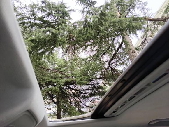 [上海·沪F] 二手奥迪奥迪A4L2015款 35 TFSI 自动标准型