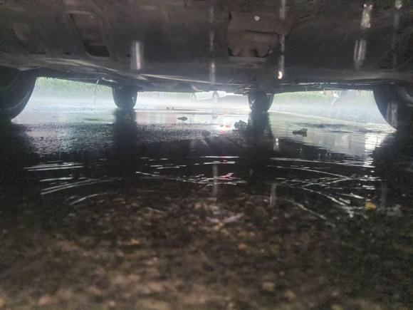 [嘉兴·浙F] 二手长安逸动2020款 PLUS 蓝鲸NE 1.4T GDI DCT尊贵型