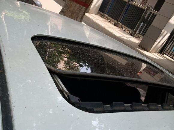 [西安·陕A] 二手日产LANNIA 蓝鸟2016款 1.6L 手动炫酷版