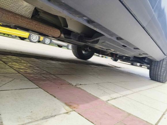 [合肥·皖A] 二手哈弗哈弗大狗2021款 1.5T DCT两驱边牧-旺财版