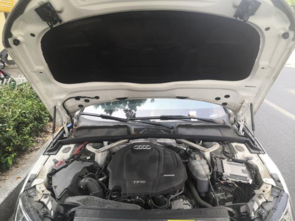 [温州·浙C] 二手奥迪奥迪A4L2019款 40 TFSI 进取型 国VI
