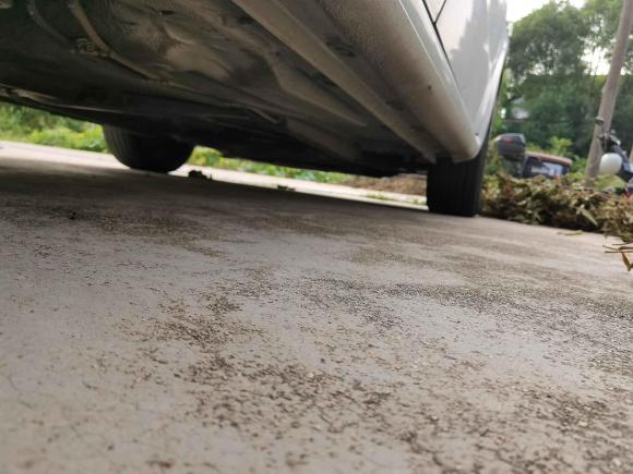 [上海·沪C] 二手大众朗逸2008款 1.6L 自动品悠版