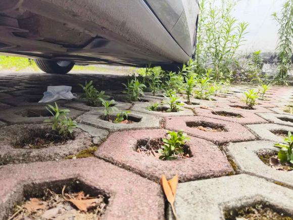 [湖州·浙E] 二手大众凌渡2022款 凌渡L 280TSI DSG酷辣版