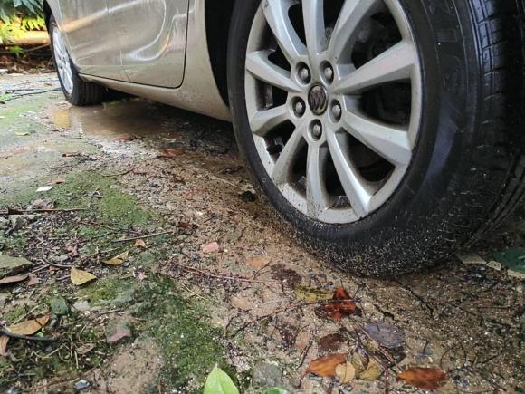 [南京·苏A] 二手别克英朗2012款 GT 1.6L 自动时尚版