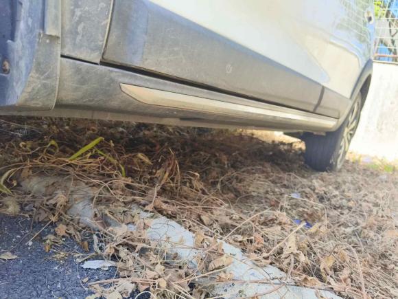 [苏州·苏E] 二手东风风行景逸X62017款 劲享系列 1.5T CVT尊享型