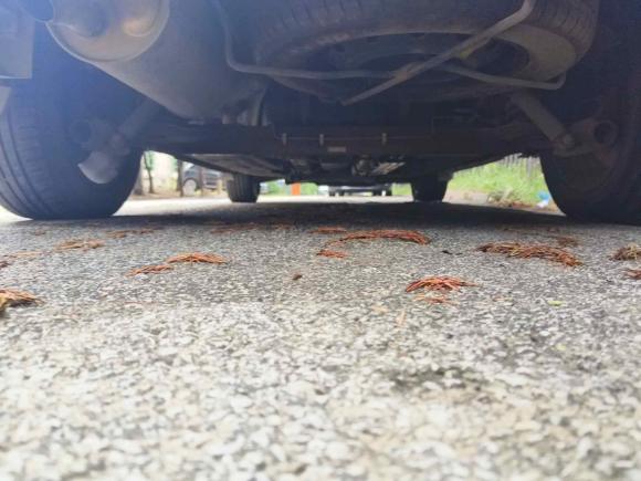 [青岛·鲁B] 二手东风风行风行SX62016款 2.0L 手动豪华型