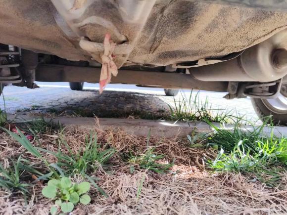 [青岛·鲁B] 二手现代瑞纳2014款 1.4L 自动智能型GLS