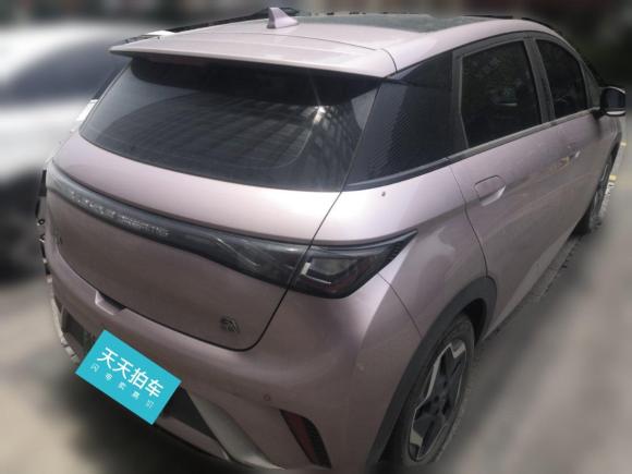 [嘉兴·浙F] 二手比亚迪海豚2021款 405km 时尚版