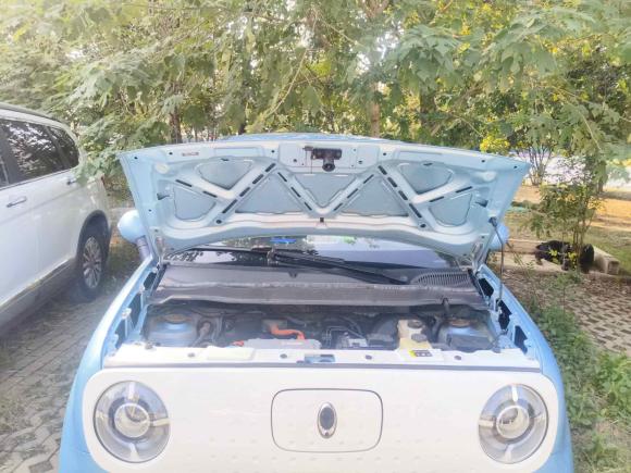 [南京·苏A] 二手欧拉欧拉黑猫2021款 351km 标准型