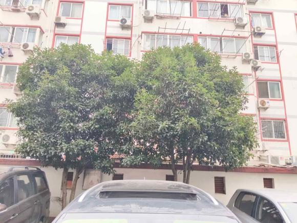 [上海·沪A] 二手比亚迪宋Pro新能源2019款 DM 1.5T 四驱性能版豪华型