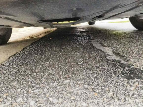 [上海·沪C] 二手海马福美来MPV2017款 六座版 1.5T 自动适·畅型