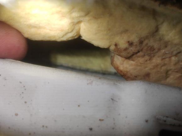 [南昌·赣A] 二手众泰众泰T7002017款 1.8T 双离合尊享型