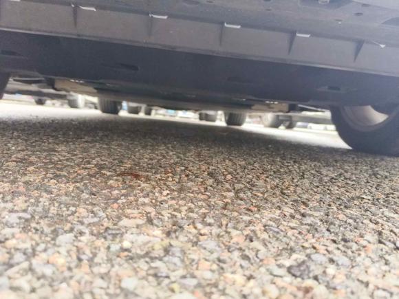 [深圳·粤B] 二手红旗红旗E-QM52022款 431km 充电乐享版