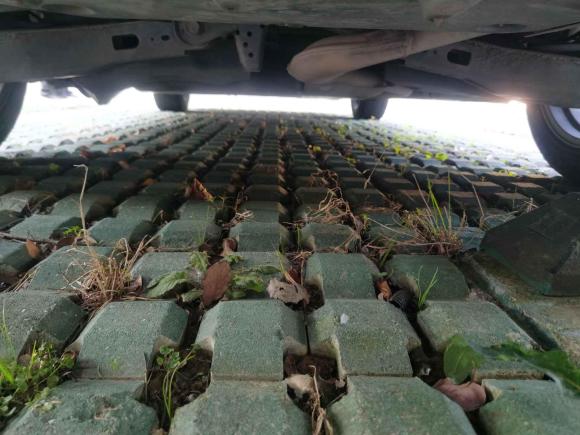 [嘉兴·浙F] 二手丰田卡罗拉2021款 双擎 1.8L E-CVT精英版