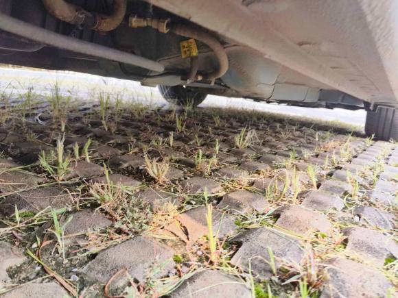 [济南·鲁A] 二手雪佛兰爱唯欧2014款 三厢 1.4SL AT 时尚天窗版