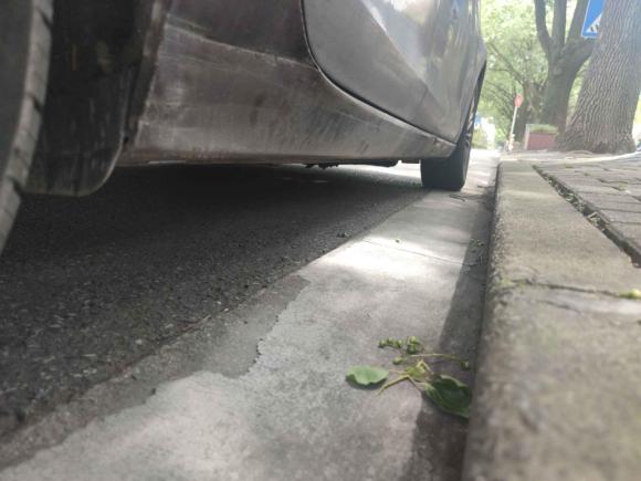 [上海·沪C] 二手福特福睿斯2015款 1.5L 自动舒适型