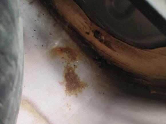 [嘉兴·浙F] 二手本田思域2009款 1.8L 自动豪华版