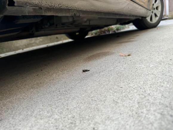 [宁波·浙B] 二手别克君威2015款 2.0L 精英时尚型