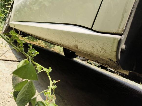 [苏州·苏E] 二手大众朗逸2015款 1.6L 自动风尚版