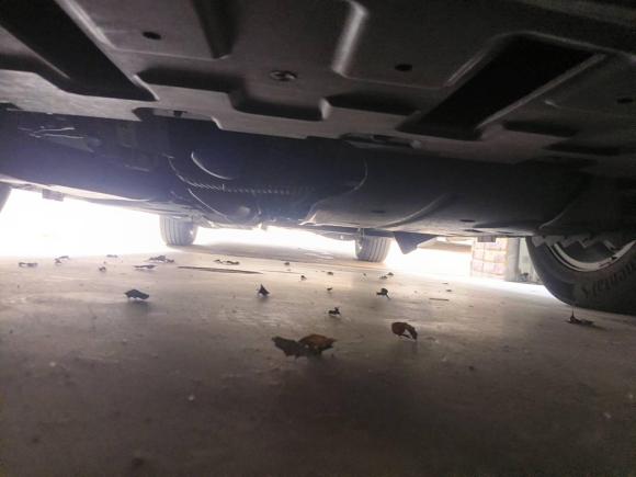 [上海·沪A] 二手别克别克GL82022款 ES陆尊 653T 舒适型