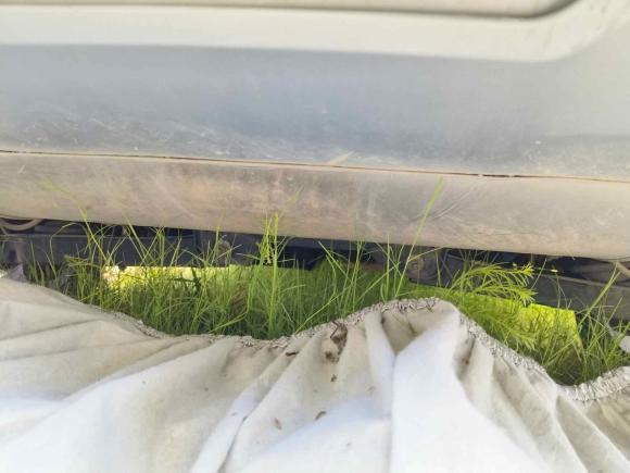 [苏州·苏U] 二手吉利汽车博越2020款 1.8TD DCT智慧PRO