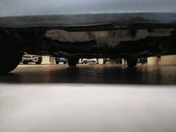 [青岛·鲁B] 二手欧拉欧拉黑猫2019款 310km 灵趣版