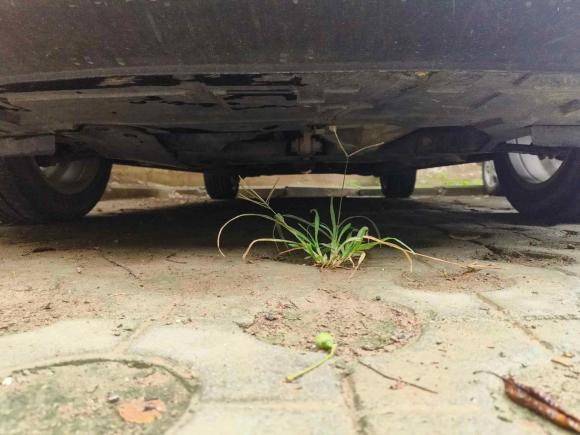 [合肥·皖A] 二手吉利汽车帝豪GS2016款 优雅版 1.8L 手动领尚型