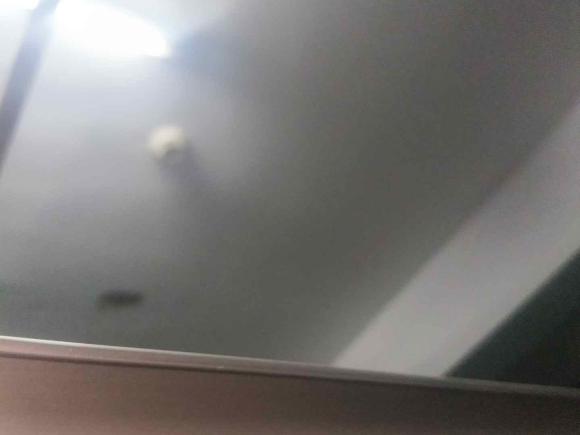 [上海·沪N] 二手马自达睿翼2009款 2.5L 自动至尊版