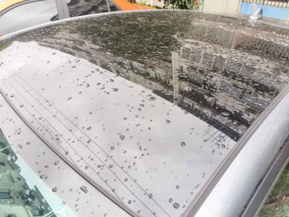 [上海·沪A] 二手比亚迪海豚2021款 401km 骑士版