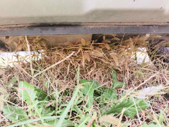 [青岛·鲁B] 二手宝骏宝骏5102019款 1.5L 手动优享型77kW 国VI