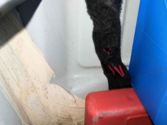 [宁波·浙B] 二手铃木奥拓2013款 1.0L 自动豪华型