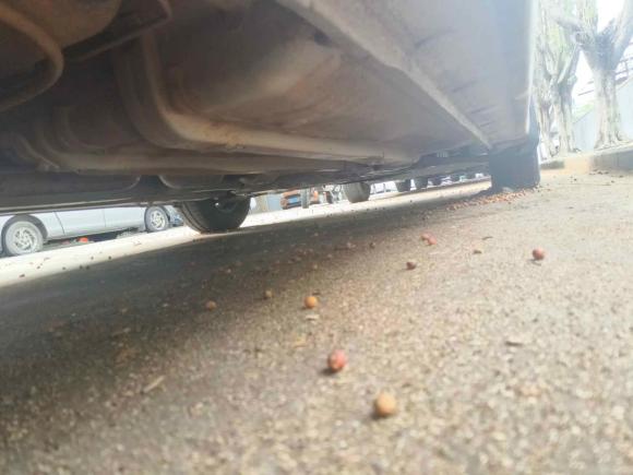 [深圳·粤F] 二手现代瑞纳2014款 1.4L 手动智能型GLS