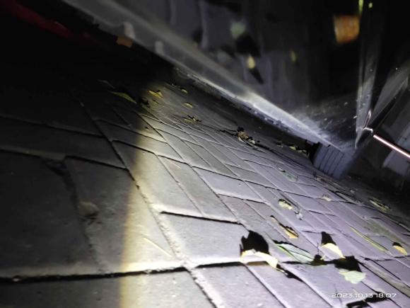 [青岛·鲁U] 二手日产天籁2021款 2.0L XL Upper AD1 智行领航版